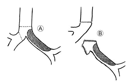 fig 51