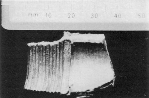 Fig 29